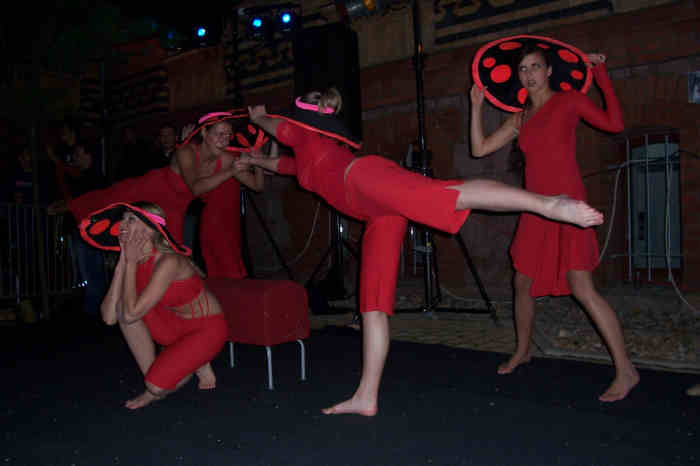 Anatomieparty Sommer 2005