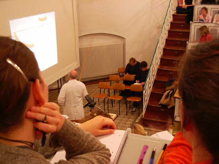 Prof. Schultkas letzte Vorlesung I